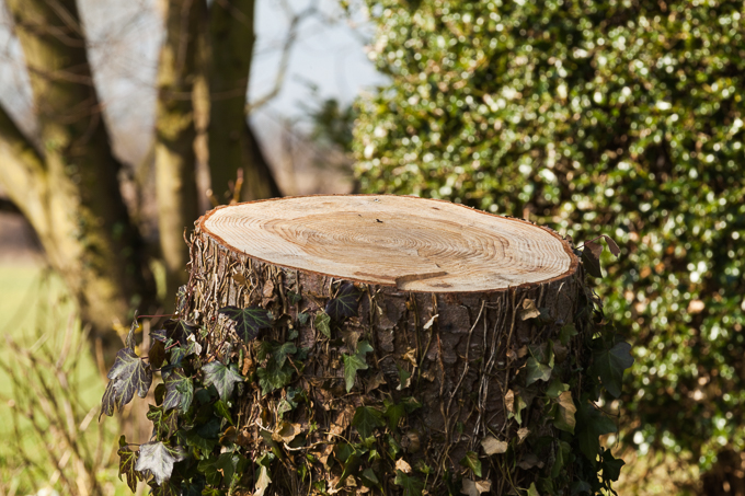 Hodsock 2014 (16)